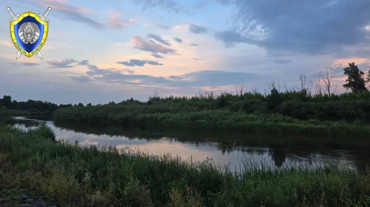Подробности гибели школьника в Пинском районе