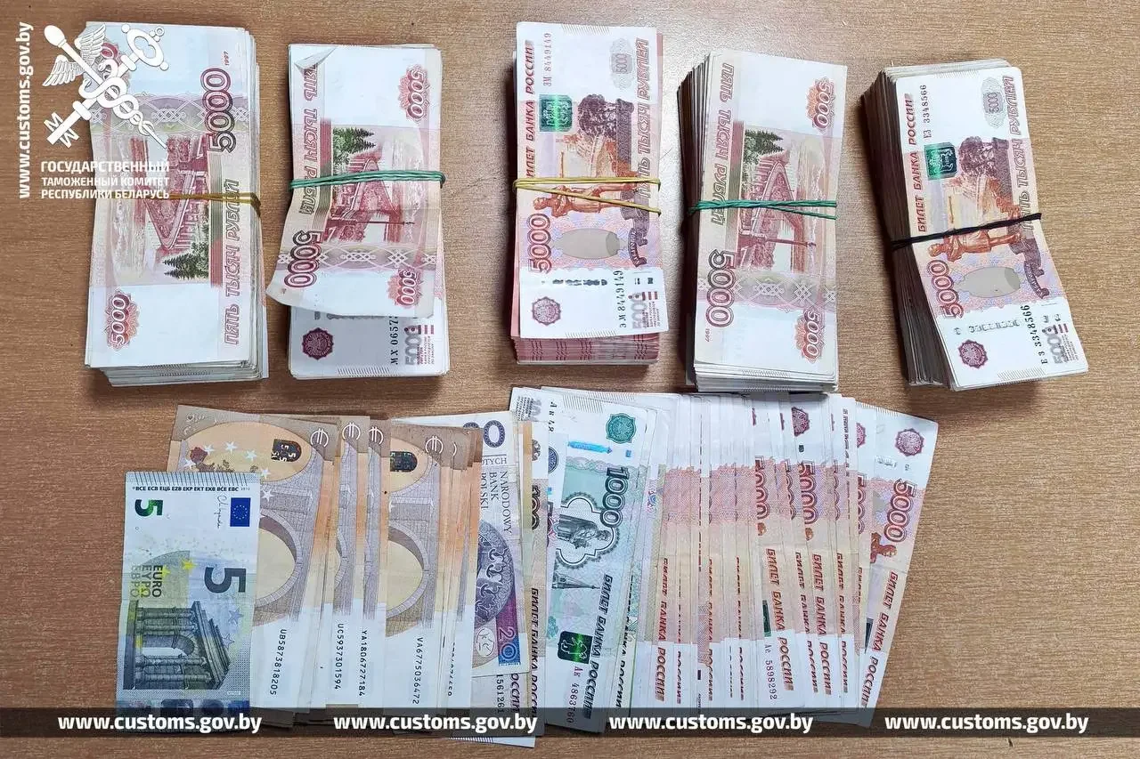 На границе в Бресте пассажирка скрыла от таможни более 72 тысяч долларов