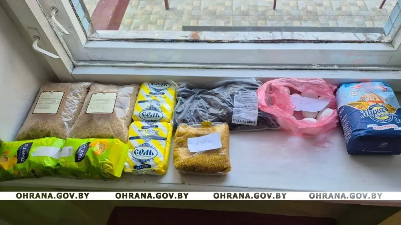 В Бресте задержали троих сотрудников учреждения образования — что они пытались вынести