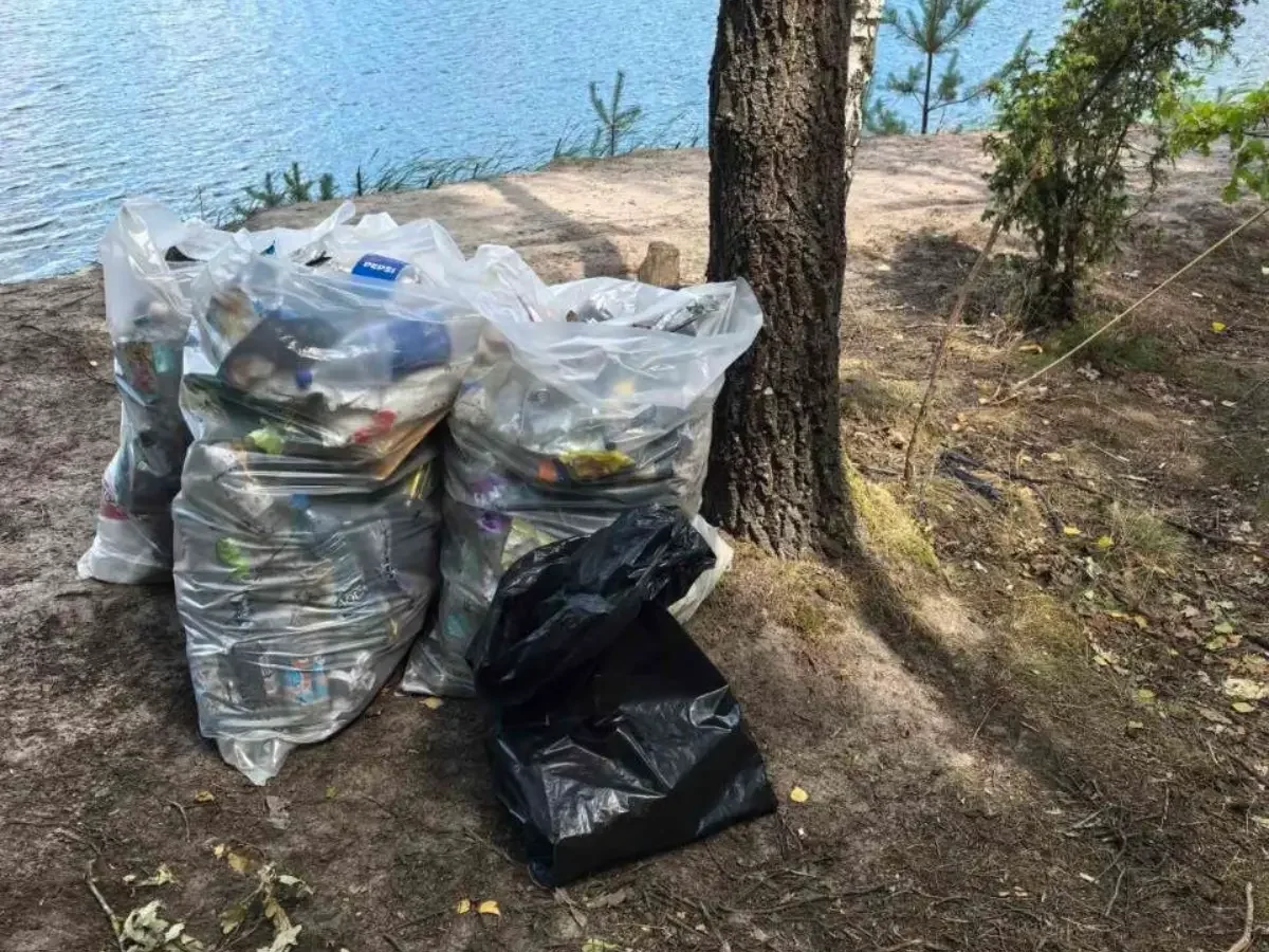 В Бресте после жалоб жителей убрали стихийную свалку у водоема