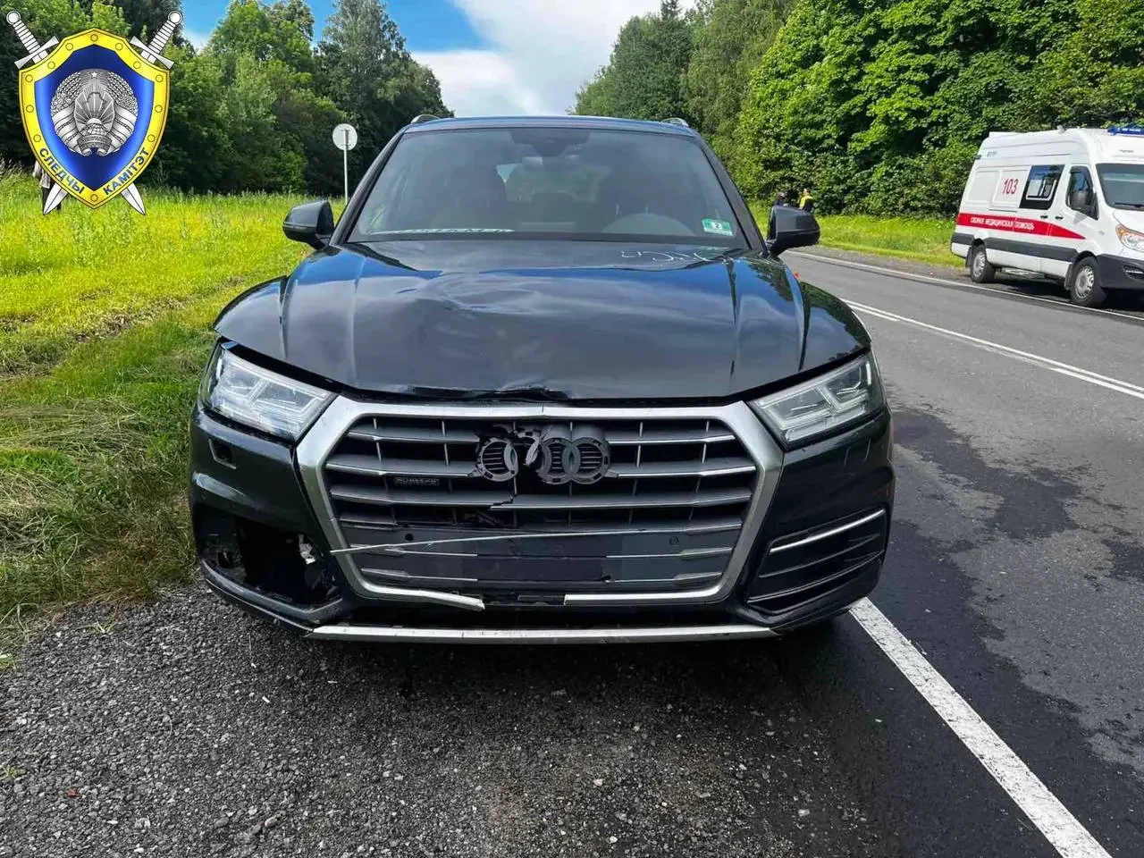 6-летняя девочка погибла под колесами Audi — как это случилось