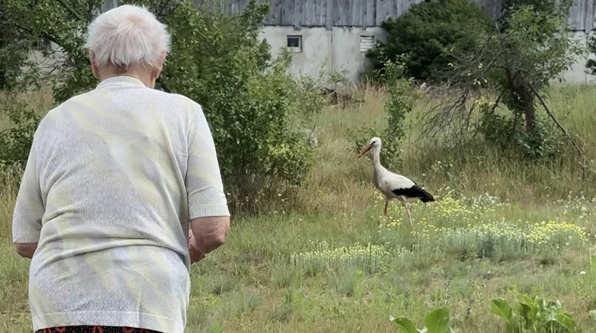 95-летняя жительница Каменецкого района подружилась с диким аистом — и вот как он ей отвечает