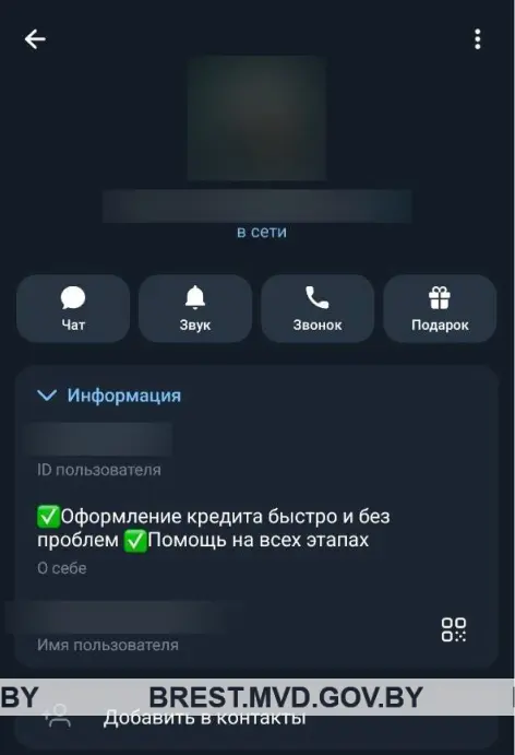 Быстрый заем обернулся потерей денег для жительницы Малориты
