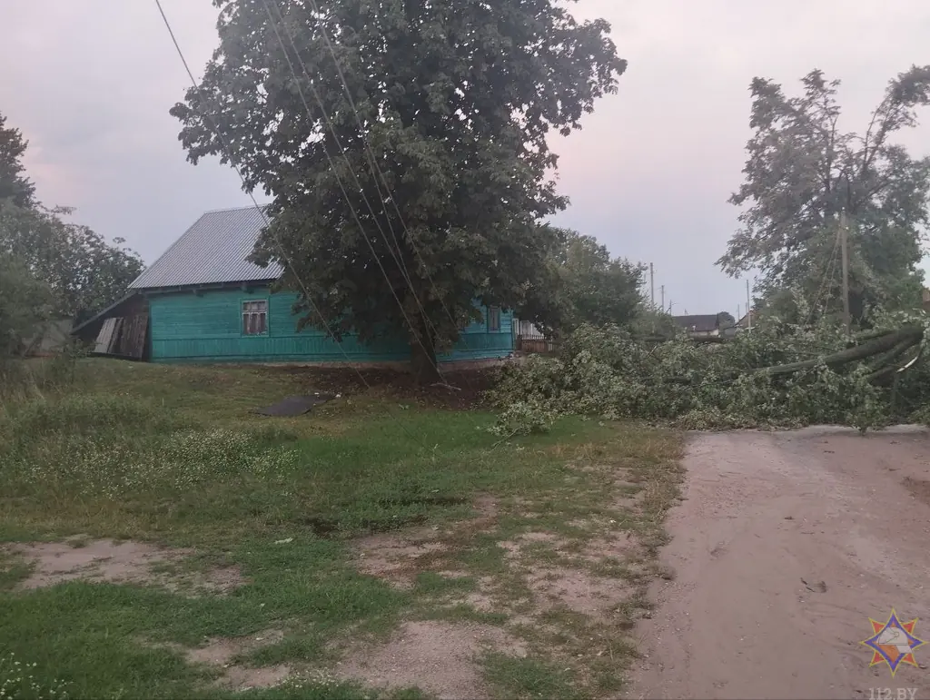 Непогода ударила по Каменецкому и Малоритскому районам: что известно о последствиях