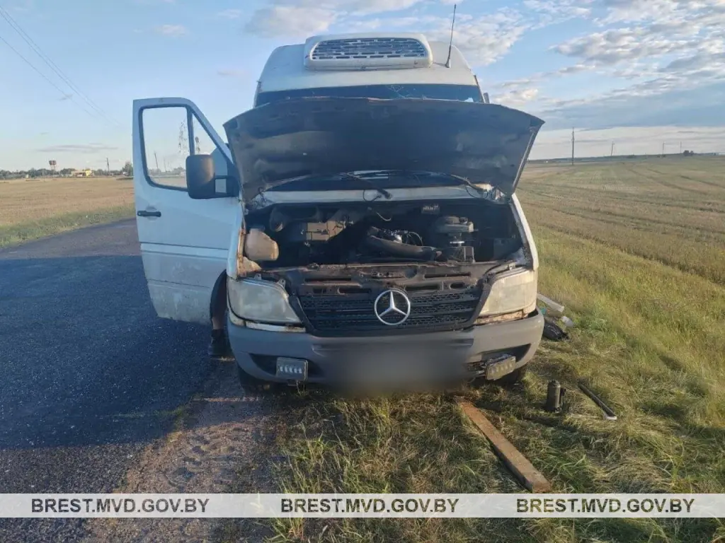 Брестчанин перевернулся на Mercedes, пытаясь избежать столкновения с диким животным