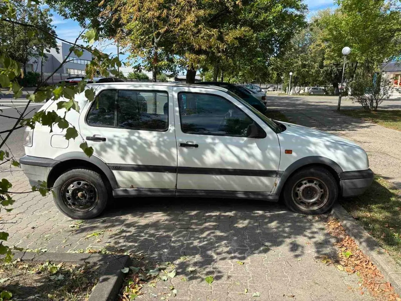 🌳 Продолжаются рейдовые обследования городских территорий.…