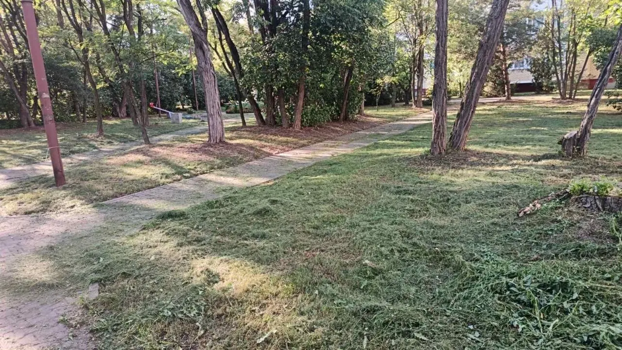 🌳 Продолжаются рейдовые обследования городских территорий.…