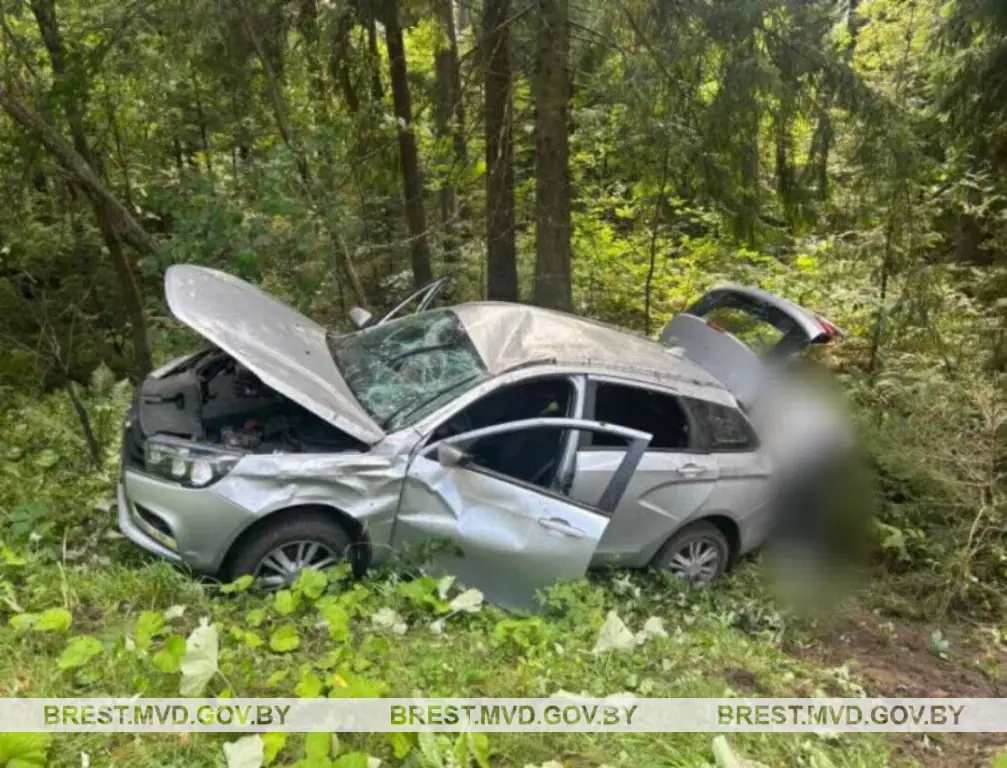 Брестчанин на Lada врезался в дерево под Барановичами — есть пострадавшие