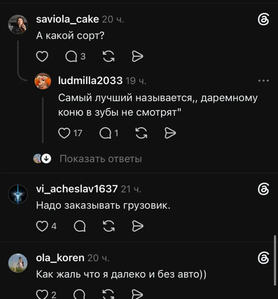Белорус решил отдать картошку даром — но интернет выбрал другой путь