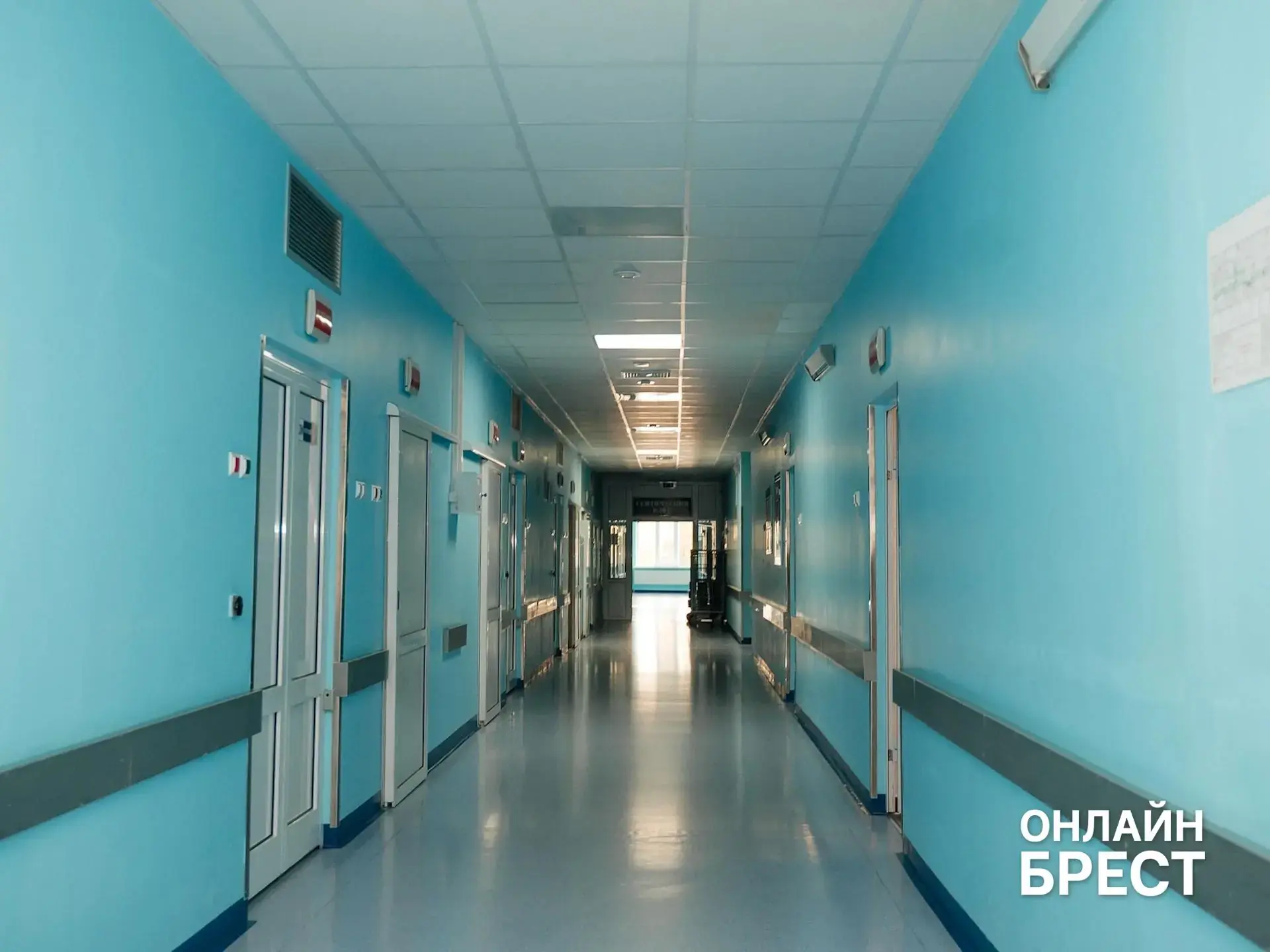 Пересадка волос в Бресте — сколько стоит и как проходит процедура