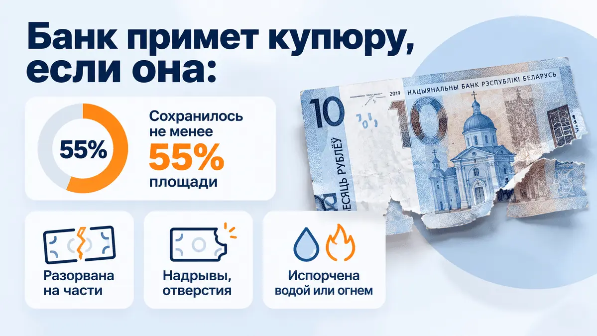 Белорус принёс в банк погрызенные деньги — чем всё закончилось