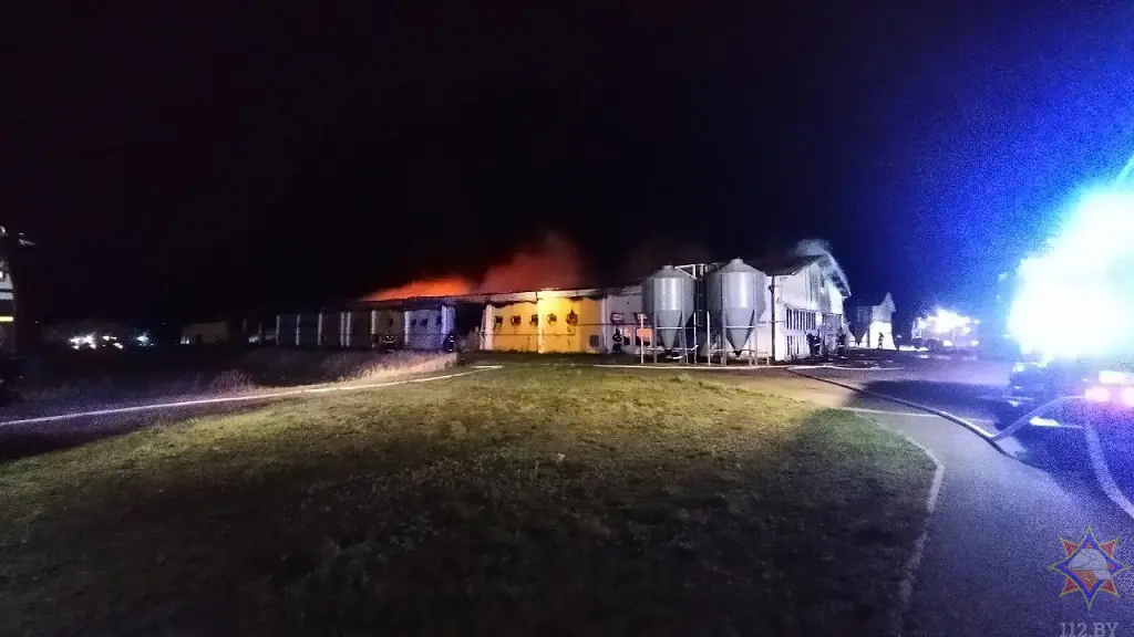 Ночью в Брестском районе загорелся птичник