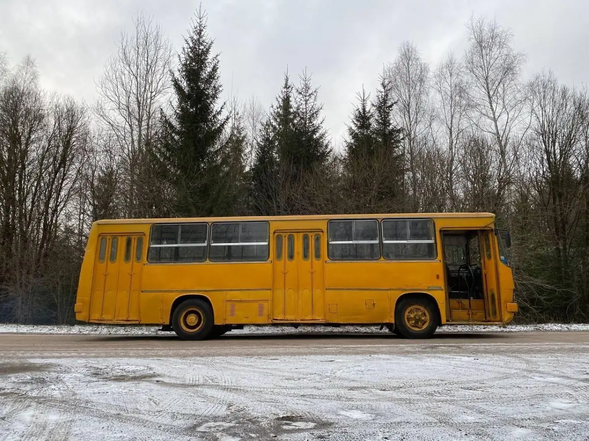 Белорус собрал четыре старых «Икаруса» — зачем ему столько автобусов