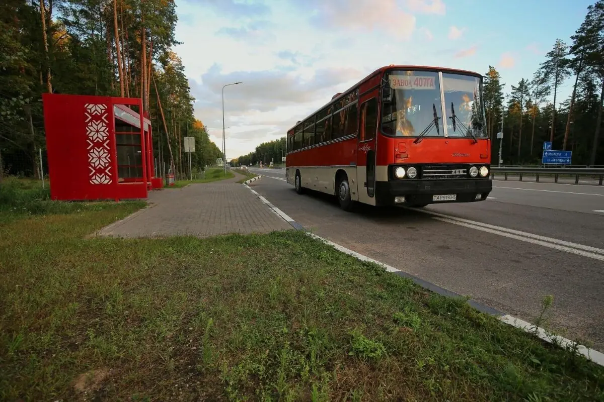 Белорус собрал четыре старых «Икаруса» — зачем ему столько автобусов