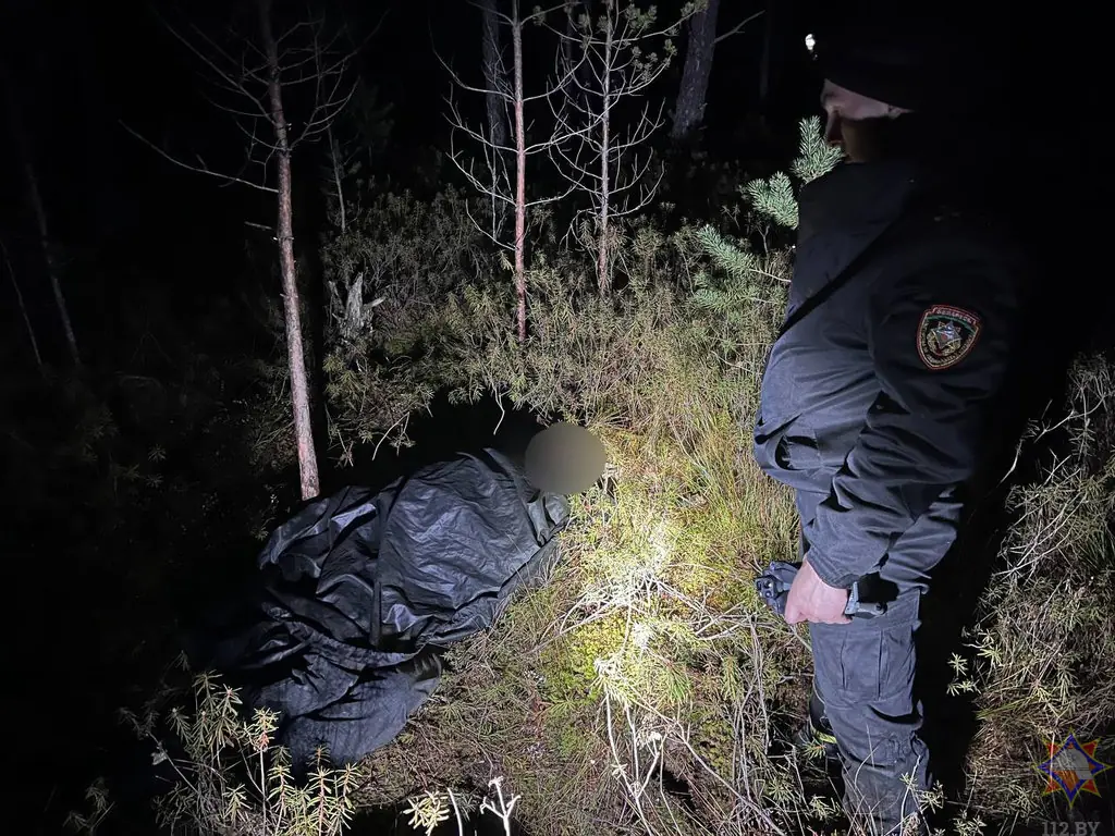 Пропавшего под Пинском пенсионера нашли с помощью беспилотника