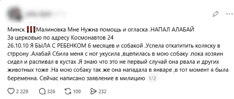 В Минске алабай напал на женщину с коляской и ее собакой-2