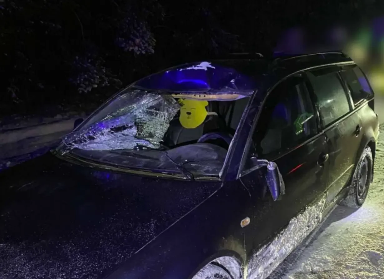 Автомобиль Volkswagen сбил дикое животное в Ивацевичском районе