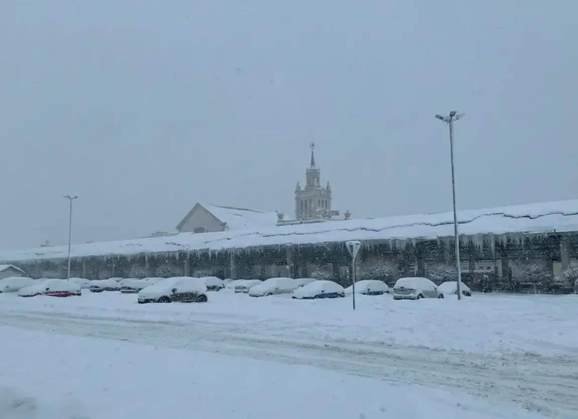 На Брест обрушился снежный циклон — фоторепортаж