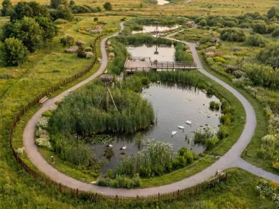 Центр спасения аистов в Бресте нашел новый дом