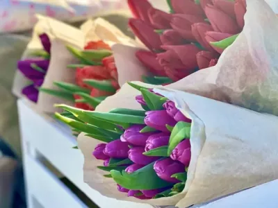 Житель Брестчины хотел порадовать жену букетом, а в итоге потерял деньги