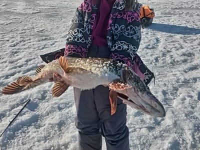 Рыбак из Беларуси похвастался огромной щукой, пойманной 8 Марта