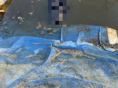 В Бресте в искусственном водоеме найден погибший мужчина