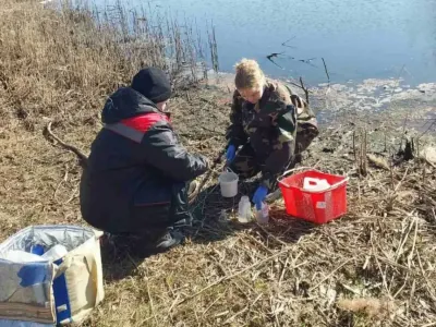 В Лунинце обследуют пруды после гибели рыбы