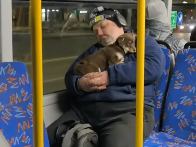 Трогательное видео из Беларуси набрало почти 2 млн просмотров: мужчина уснул с щенком
