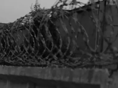 Александр Лукашенко помиловал 250 осужденных