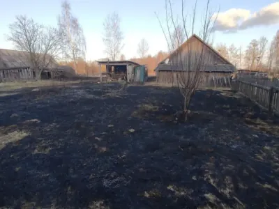 Попытка потушить огонь закончилась больницей: что произошло в Дрогичинском районе