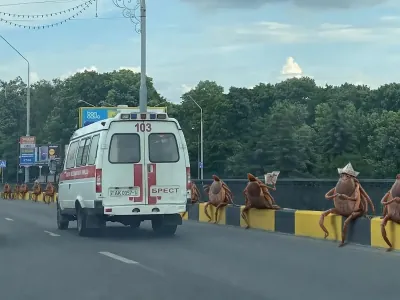 Белорусов пугают клещи: в лесах их замечают целыми колониями