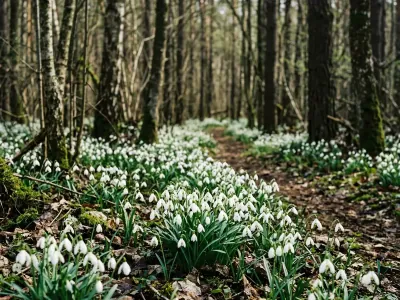 Что будет, если не заплатить вовремя штраф
