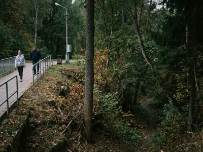 На улице напал и душил: 20-летнюю девушку спасла семейная пара