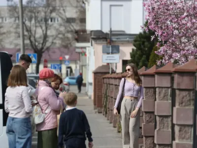 В Бресте распустилась магнолия