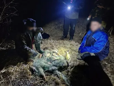 Под Пинском задержали браконьеров с 80 кг рыбы — ущерб более 550 базовых