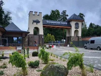 В Беловежской пуще готовят новинки для туристов — подробности