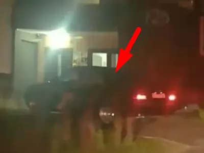 Уходил от ГАИ — остался без машины: чем закончилась ночная погоня в Бресте