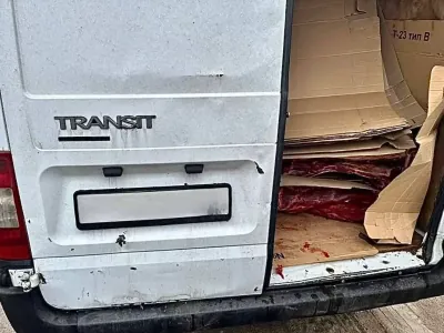 Почти две тонны говядины без бумаг: на Брестчине задержан водитель