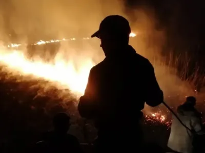 В Столинском районе 8 часов тушили пожар — и подозревают поджог