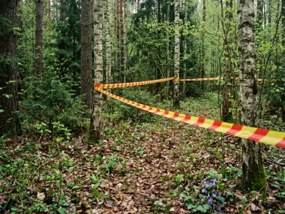 В лесу нашли тело женщины — следствие возбудило дело об убийстве