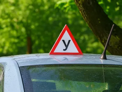 Автошколы Беларуси ждут перемены — что изменится