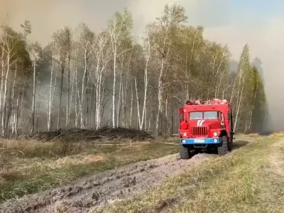 Это было непростое испытание: лесной пожар в Пинском районе — в фотографиях