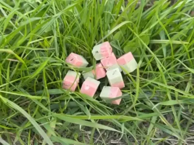 Молодая мама с коляской нашла во дворе «мармеладку» — и содрогнулась от того, что внутри