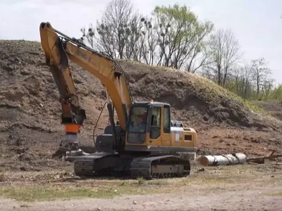 В Бресте вырубают деревья в крепости — жители в шоке, коммунальщики объясняют зачем