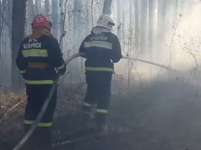 В Брестском районе огонь перешёл с травы на постройки: что сгорело
