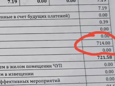 Белоруске выставили счёт на 714 рублей за собак — почему так вышло