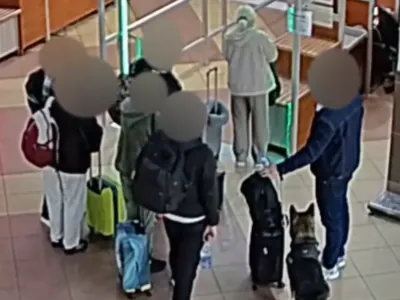 Служебная собака на брестской таможне учуяла то, что спрятал мужчина