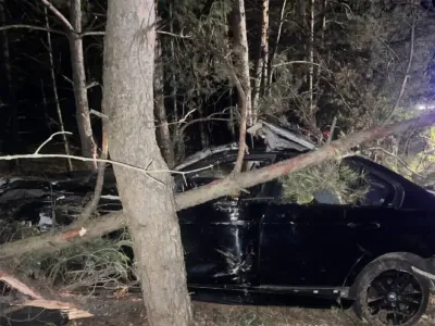 На трассе М1 водитель сбил лося и врезался в деревья — погибла женщина