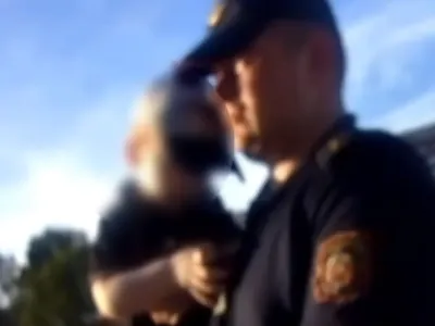 Двухлетний малыш ушёл гулять сам — в Бресте его нашли в полукилометре от дома