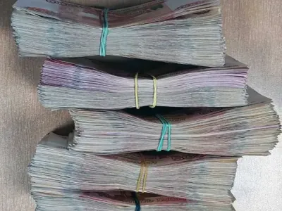 На границе в Бресте пассажирка скрыла от таможни более 72 тысяч долларов
